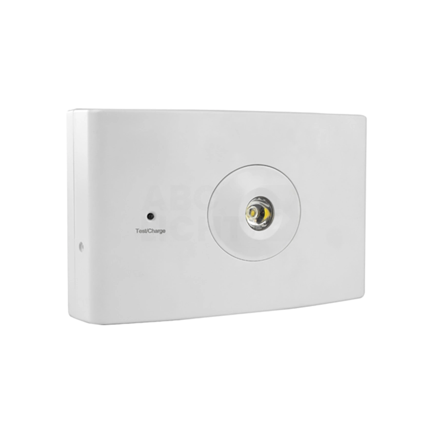 https://abcnoodverlichting.nl/storage/cache/1606/ab80419e33c5e228dccbeb73cd2be4fc/FL41026%20denia-kompakte-Sicherheitsbeleuchtung.webp
