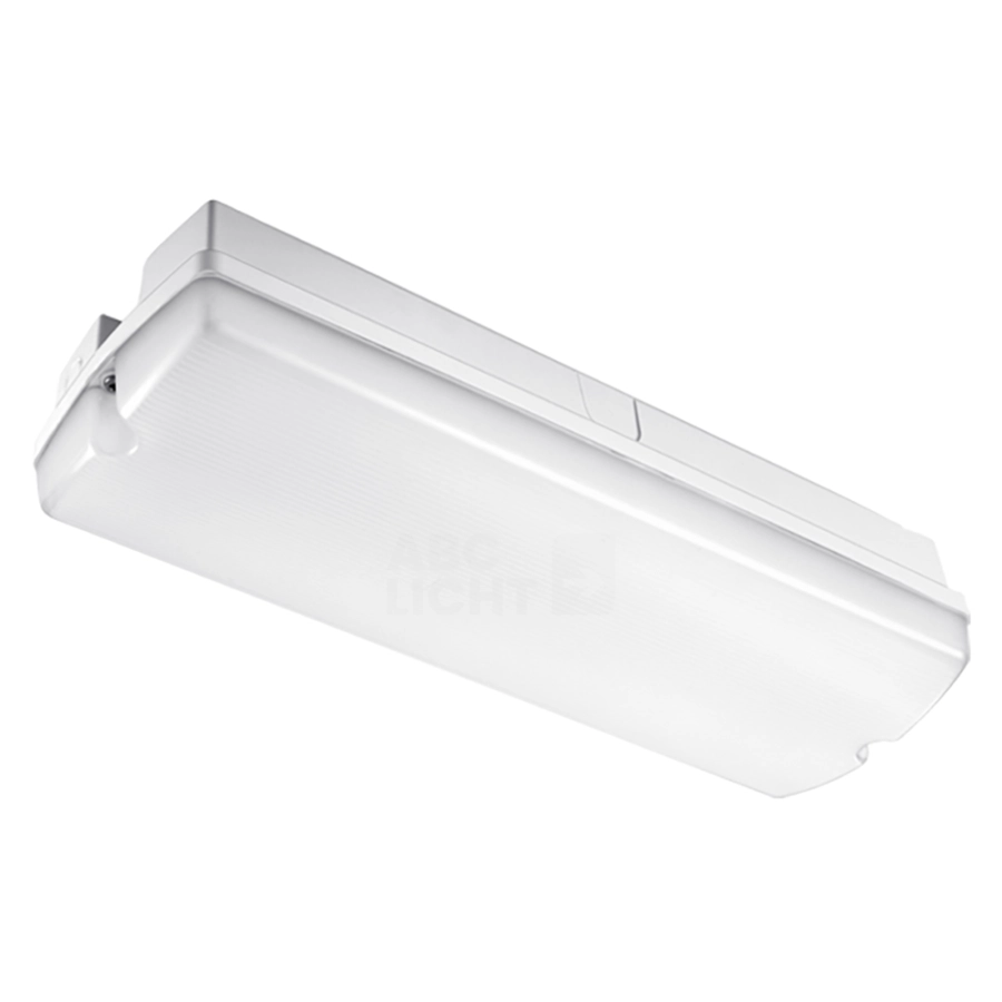 https://abcnoodverlichting.nl/storage/cache/1626/1788cd463b833d6cc3cc960c8137d06a/FL41017%20matte%20kap%20noodverlichting.webp