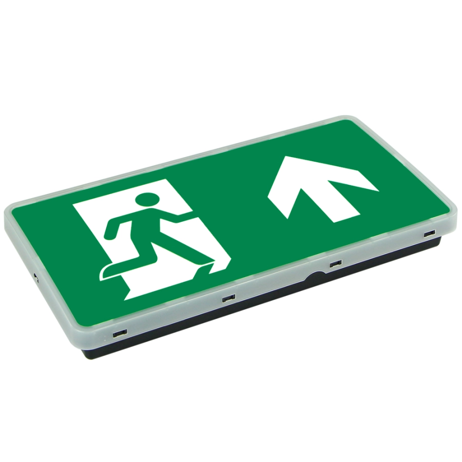https://abcnoodverlichting.nl/storage/cache/1743/b0f3431517118c78a159836f6866f170/Zwarte%20vluchtwegverlichting.webp