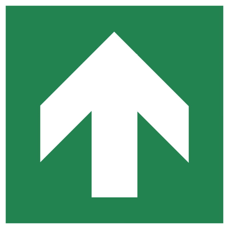 https://abcnoodverlichting.nl/storage/cache/1787/2fdda094b9eb46f05af7cd6b10d1c0a1/pfeil-oben-gerade_iso7010.webp
