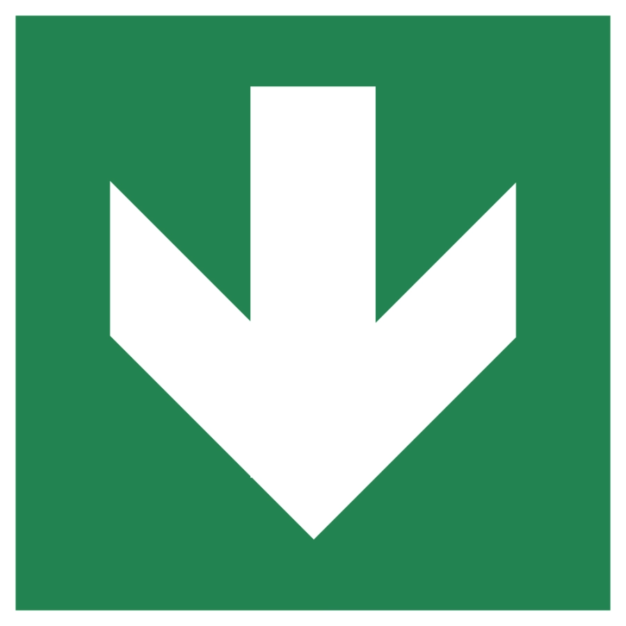 https://abcnoodverlichting.nl/storage/cache/1793/56e8e271c5ff25848934672878fde96f/pfeil-unten-gerade_iso7010%20.webp