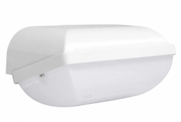 Ibiza 3CCT LED portiekarmatuur met noodunit | 3 uur