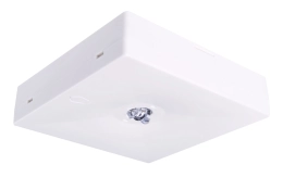 STARLET QUAD SC 150 CB vierkante opbouw-armatuur voor gangnoodverlichting