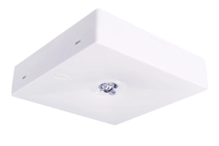STARLET QUAD SC 150 CB vierkante opbouw-armatuur voor gangnoodverlichting