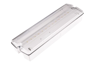 ORION II 250 CB noodverlichtingsarmatuur met transparante kap