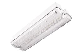 ORION II 250 CB noodverlichtingsarmatuur met transparante kap
